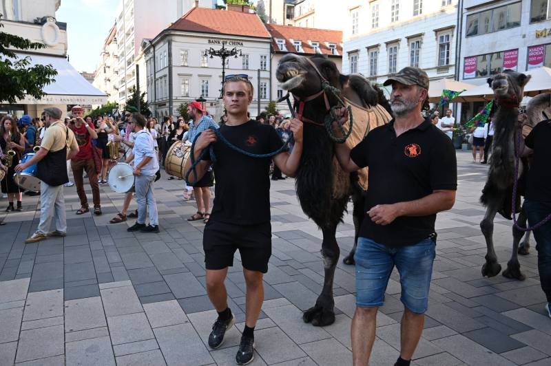 Hungarians protest with camels to raise alarm over drought