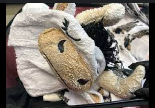 ASF recovers 3.844kg heroin soaked in clothes from passenger at Lahore Airport
