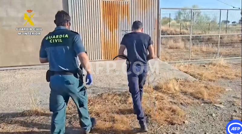 Spain probes owner after 32 dogs found dead from starvation