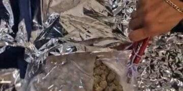 Bid to smuggle marijuana into Pakistan foiled at Lahore Airport