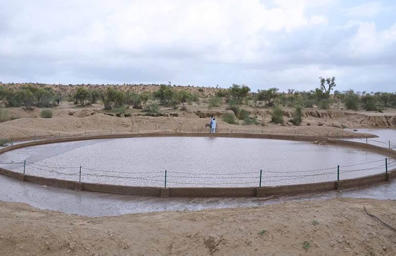 Pakistan can harvest over 7 trillion gallons of rainwater annually: Experts