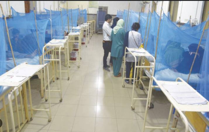 Six more dengue cases reported in Rawalpindi