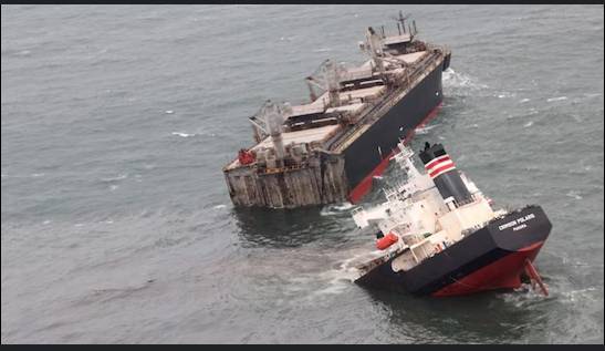 Yacht, cargo ship collide in waters off Japan
