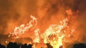Thousands battle Greece fires as heatwave bakes Europe