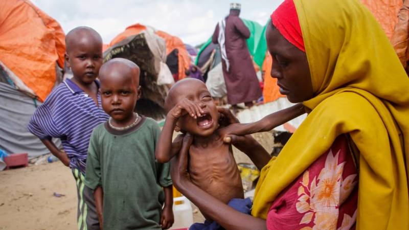 4.4 million Somalis face severe hunger