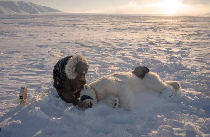 Climate change made Nordic heatwave 2C hotter: study