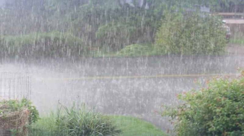 PDMA Punjab issues high alert as heavy rains, cloudbursts predicted