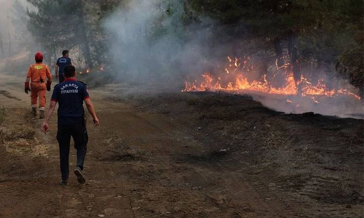 250 flee as Turkish rescuers battle wildfire in Gallipoli