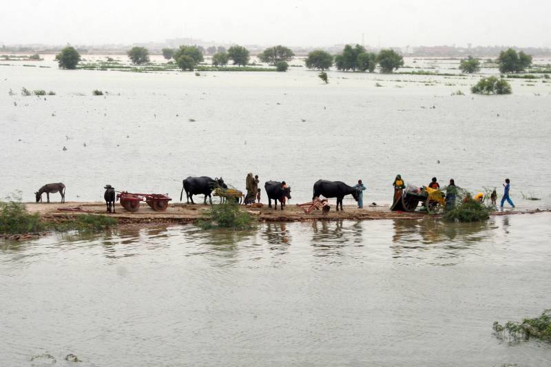 When the floodwaters rise, what truly drowns?
