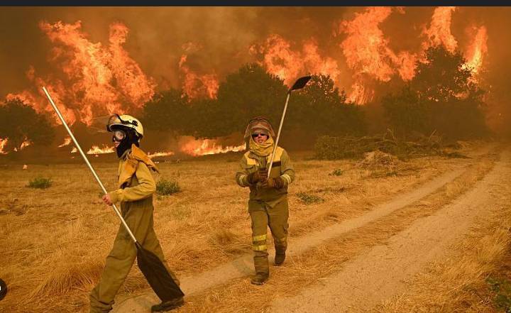 Wildfires scorch 30,000 more hectares in Spain
