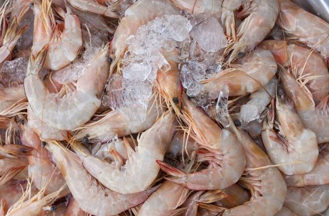 US recalls shrimp over potential radioactivity scare