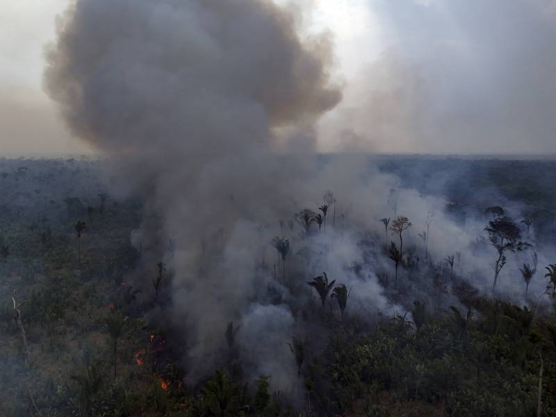 Brazil records 65 percent drop in Amazon area burned by fire