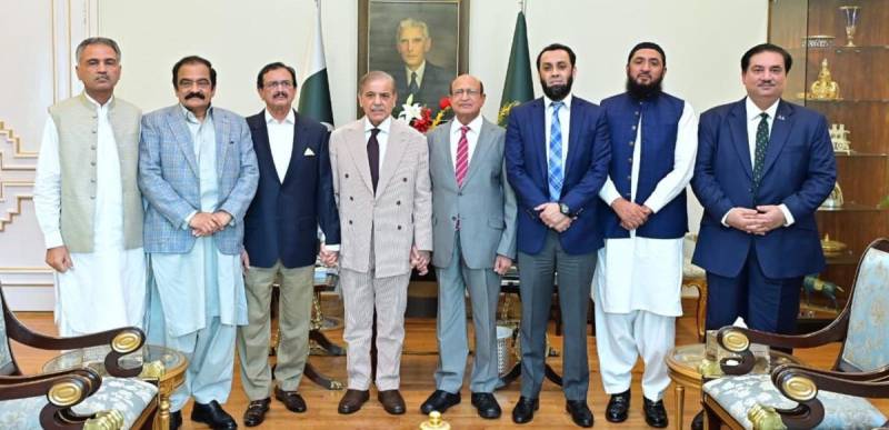 PM discusses political situation with Nisar Cheema, Zulfiqar Cheema