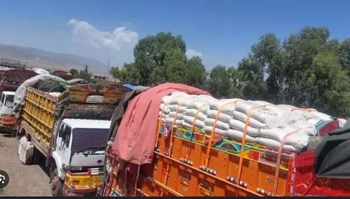 Customs staff seizes 17 trucks loaded with smuggled goods in Multan