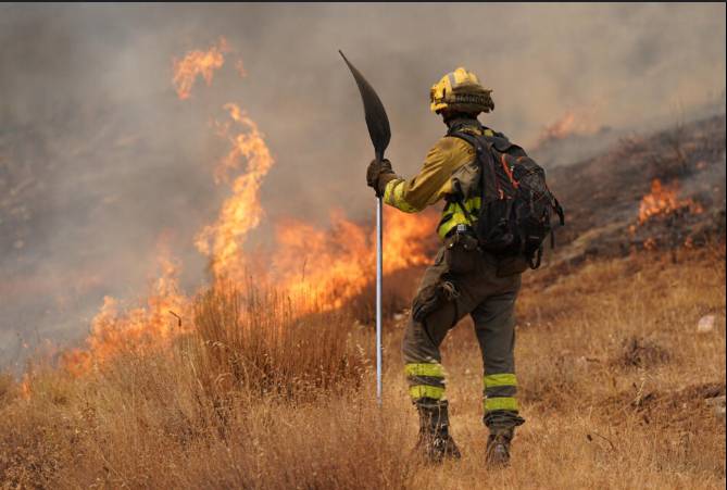 Firefighting games spark at Gamescom 2025