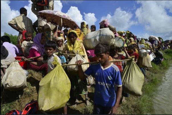 Bleak future for Rohingya, as Bangladesh seeks to tackle crisis