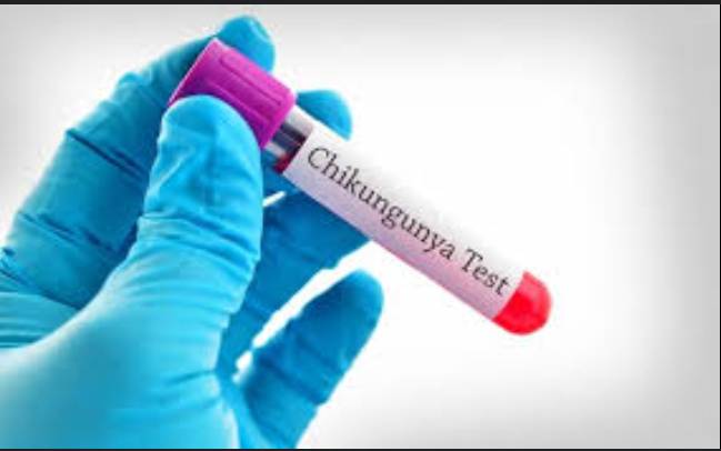 US suspends chikungunya vaccine Ixchiq over 'serious' side effects