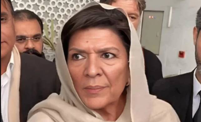 Aleema Khan rejects by-election participation, terms it futile