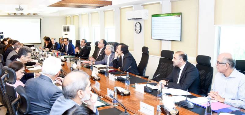 ECC approves Rs3b relief package for GB flood victims, grants for PTV