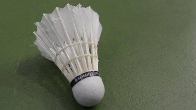 Badminton federation smoothes feathers ruffled by shuttlecock shortage