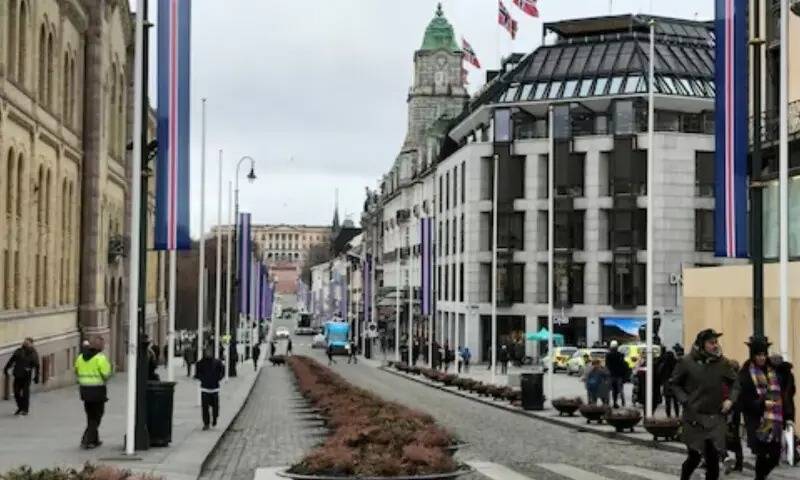 Detained Norwegian teenager planned mosque attack: police