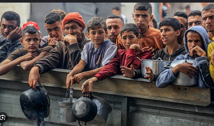 Gaza at 'breaking point', says UN food agency chief after visit