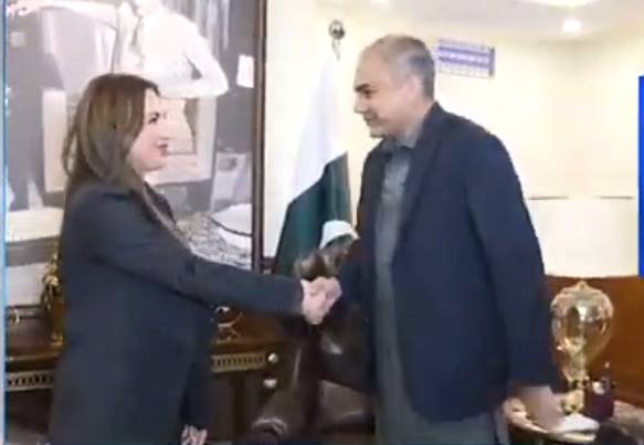 US envoy Baker meets Mohsin Naqvi; expresses sympathy over flood losses