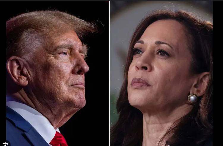 Trump withdraws Kamala Harris's Secret Service protection