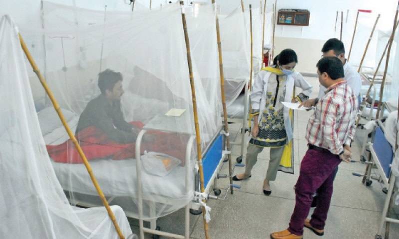 Islamabad reports 13 more dengue cases
