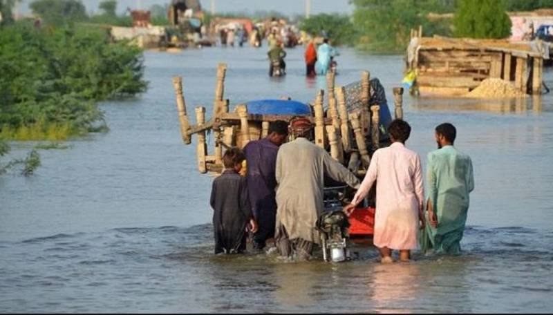 Monsoon rains and floods claim 819 lives across Pakistan: WHO