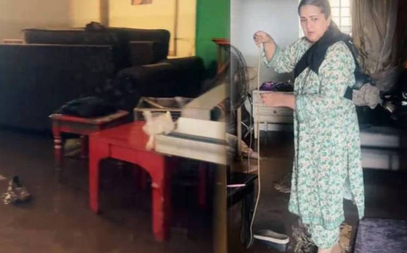 Viral video: Arifa Siddiqui and husband scrub away mud after Lahore floods