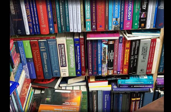 ANF foils bid to smuggle ice drug absorbed in books