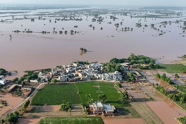 Roots, Rivers, and Responsibility: Crafting a Green Economy for Pakistan