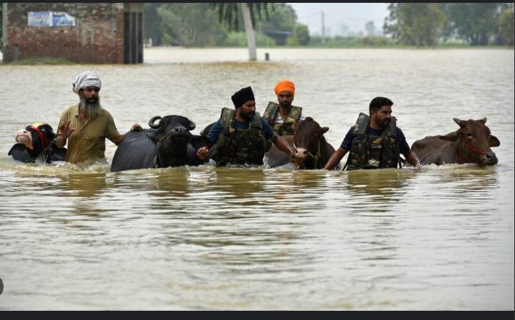 Villages marooned after deadly floods in India's Punjab