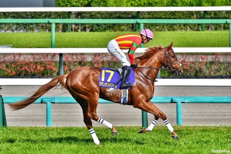 Byzantine Dream boosts Japan's Arc hopes, Aventure impresses