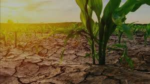 Climate change and its impact on Pakistan’s rural heritage and agriculture