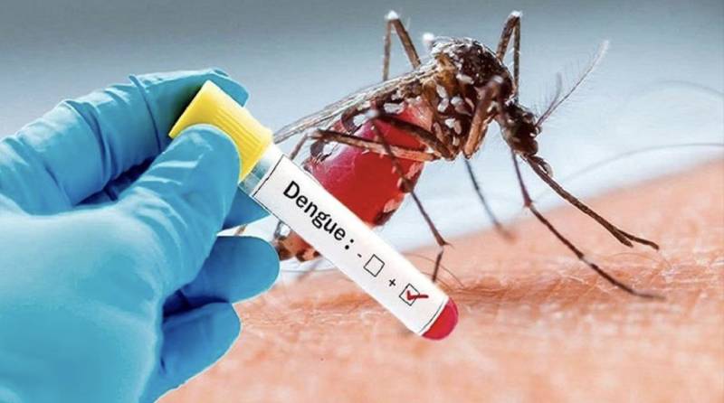 Dengue cases increase in Rawalpindi with 215 confirmed patients 