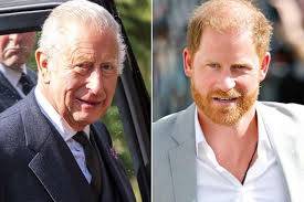 Prince Harry meets King Charles for first time since 2024: reports