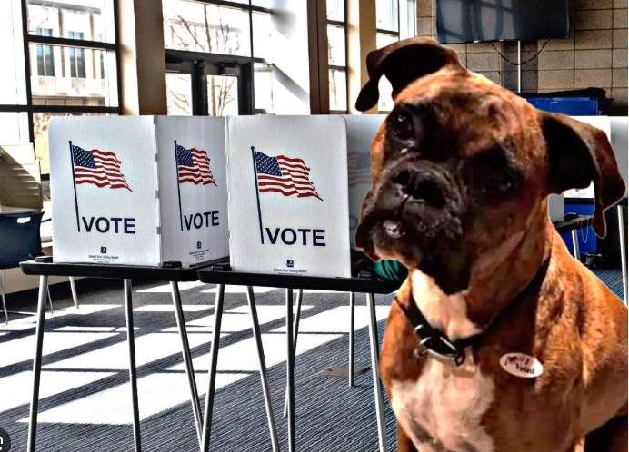 US woman charged with registering her dog to vote