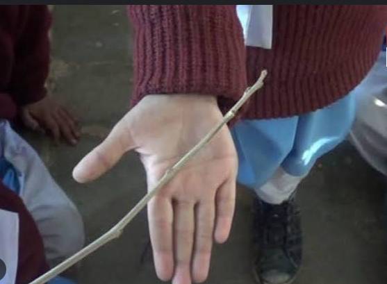 Federal Education Directorate warns schools, colleges over corporal punishment