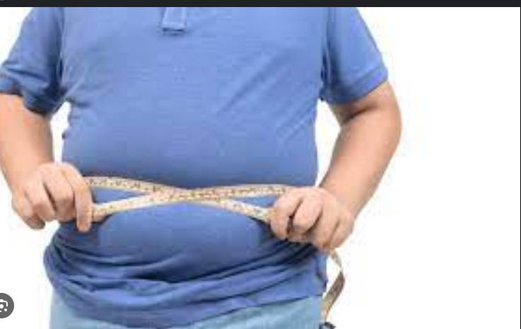 Informing parents not enough to fight childhood obesity: study