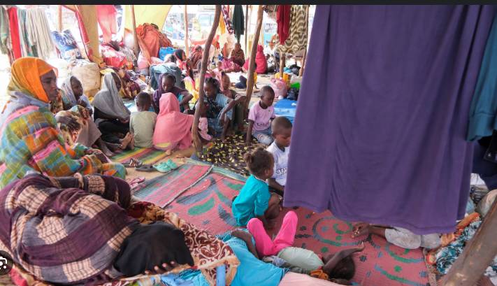 US, Saudi Arabia, UAE, Egypt call for Sudan truce, transition to civilian rule