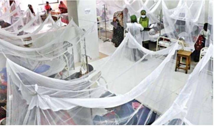 25 new dengue cases reported In Islamabad within 24 hours