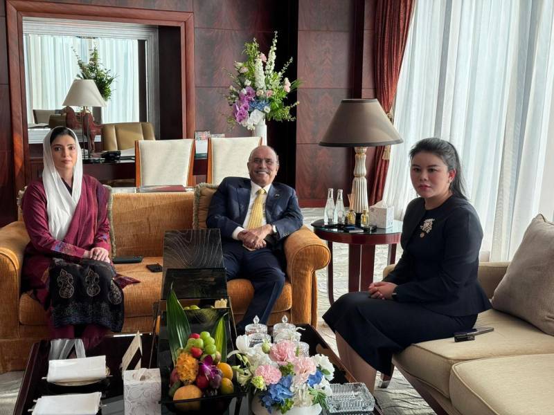 President Zardari meets Vice President of China Africa Chamber of Commerce