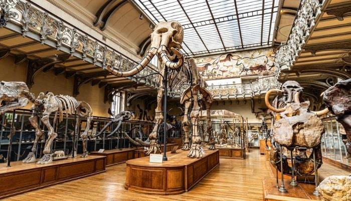 Gold worth 600,000 euros stolen in Paris museum heist
