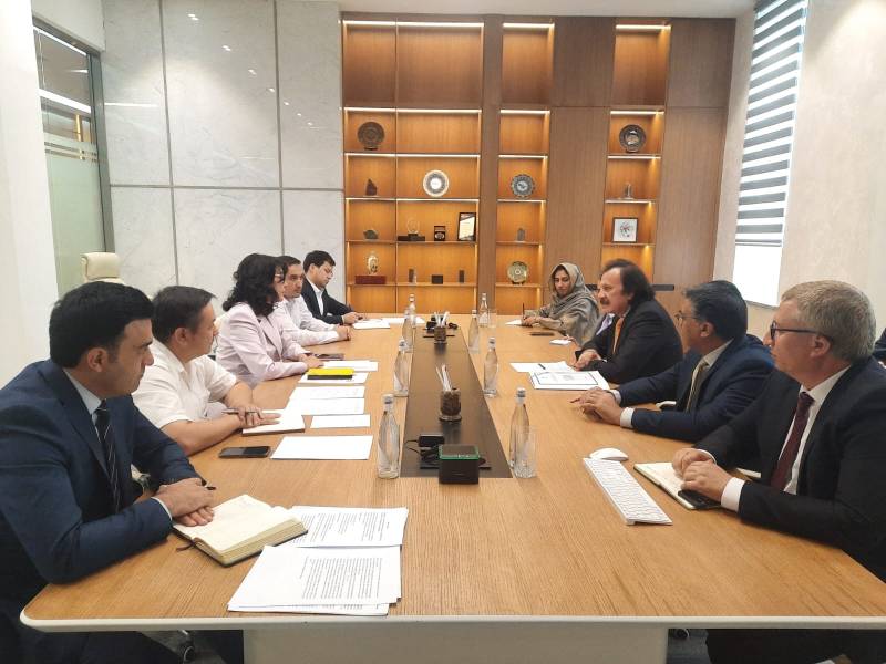SAPM Haroon Akhtar meets officials of Uzbekistan's Ministry of Minerals and Geology