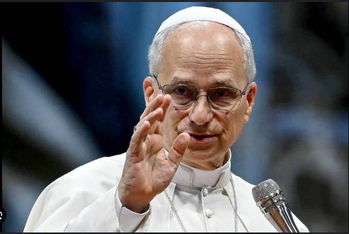 Pope Leo puts the brake on Church reforms