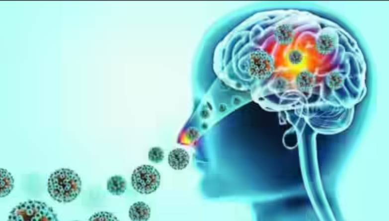 India health alert after 'brain-eating' amoeba rise
