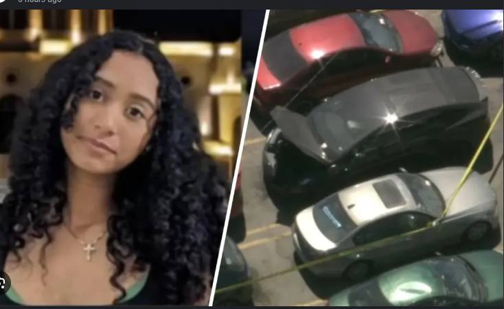 Decaying body found in US rapper's Tesla identified as teen girl