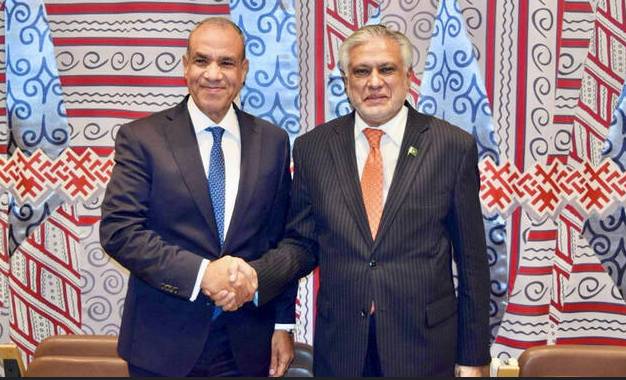Egypt FM felicitates Dar on Pak-Saudi defence pact